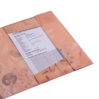 Папка А4 на гумках, PEACH ARABESKI, напівпрозора, персикова Buromax BM.3908-46