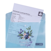 Папка-конверт А5 на кнопці, BLUEBERRY ARABESKI, напівпрозора,аквамарин Buromax BM.3919-52