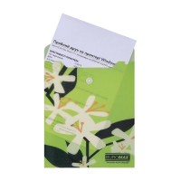 Папка-конверт А6 на кнопці, PLUMERIA ARABESKI, напівпрозора, салатова Buromax BM.3922-15