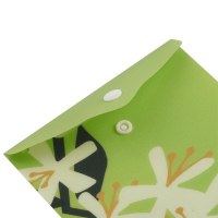 Папка-конверт А6 на кнопці, PLUMERIA ARABESKI, напівпрозора, салатова Buromax BM.3922-15