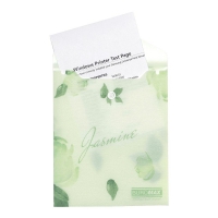 Папка-конверт А6 на кнопці, JASMINE ARABESKI, напівпрозора, м'ятна Buromax BM.3922-38