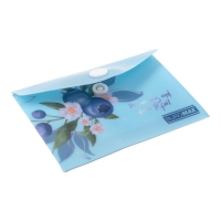 Папка-конверт А7 на кнопці, BLUEBERRY ARABESKI, напівпрозора,аквамарин Buromax BM.3923-52