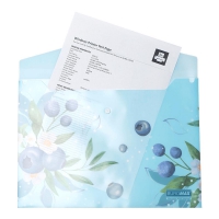 Папка-конверт А4 на кнопці, BLUEBERRY ARABESKI, напівпрозора, морська хвиля Buromax BM.3943-17