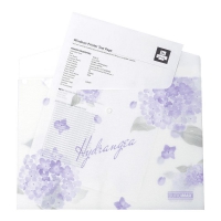 Папка-конверт А4 на кнопці, DREAM ARABESKI, напівпрозора, світло-синя Buromax BM.3943-30