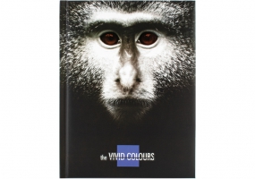 Блокнот Vivid Colours" А5, 80 арк., карт./порол., Клит., "обезьяна" COOLFORSCHOOL CF21200-06