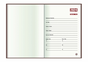 Дневник датированный, КЛЕТКА, красный, А5 ECONOMIX E21609-03
