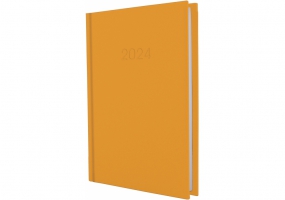 Ежедневник датированный, SATIN, оранжевый, А5 ECONOMIX E21612-06