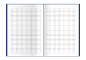 Дневник недатированный, CROSS, А5, ячейка, красный ECONOMIX E22006-03