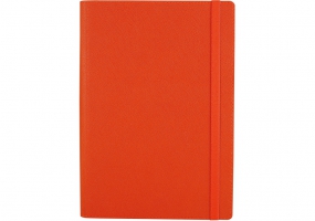 Щоденник недатований, CROSS, А5, клітинка, помаранчовий ECONOMIX E22006-06