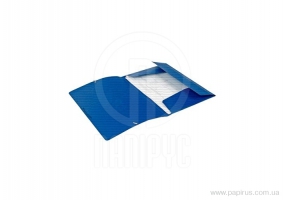Папка пластикова А4 на гумках Economix, фактура "діамант", синя E31601-02
