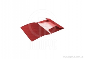 Папка пластиковая А4 на резинках Economix, фактура "бриллиант", красная E31601-03