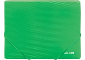 Папка пластикова А4 на гумках Economix, фактура "діамант", зелена E31601-04