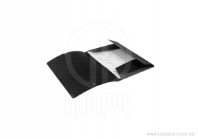 Папка пластиковая А4 на резинках Economix, фактура "бриллиант", ассорти E31601