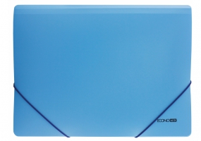 Папка пластикова А4 на гумках Economix, фактура "помаранч", блакитна E31633-11