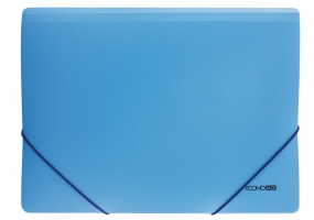 Папка пластиковая А4 на резинках Economix, фактура "апельсин", ассорти E31633