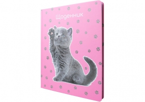 Дневник школьный, 165х210 мм, соч. 48 л. MAXI MX29911