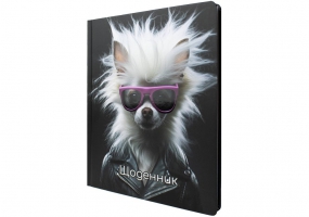 Дневник школьный, 165х210 мм, соч. 48 л. MAXI MX29916