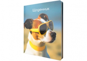 Дневник школьный, 165х210 мм, соч. 48 л. MAXI MX29917