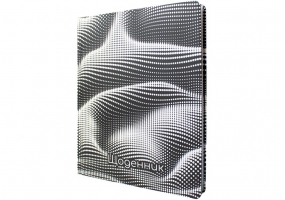 Дневник школьный, 165х210 мм, соч. 48 л. MAXI MX29923