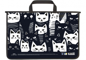 Портфель пластиковый А4 на молнии MAXI MX30054