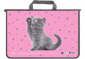 Портфель пластиковый А4 на молнии MAXI MX30059