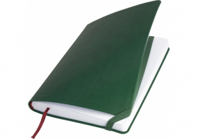 Діловий записник VIVELLA, А5, м’яка обкладинка, гумка, білий блок лінія, зелений OPTIMA O27104-04