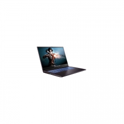 Ноутбук Dream Machines RG2050-17 17.3FHD IPS, Intel i5-12450H, 16GB, F1TB, NVD2050-4, DOS, черный RG2050-17UA31