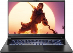 Ноутбук Dream Machines RG4050-17 17.3FHD, Intel i5-13500H, 16, F500GB, NVD4050-6, DOS, чорний RG4050-17UA20