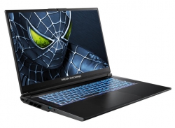 Ноутбук Dream Machines RG5050-17 17.3FHD IPS, Intel i7-14650HX, 16GB, F1TB, NVD5050-8, DOS, черный RG5050-17UA20