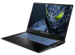 Ноутбук Dream Machines RG5050-17 17.3FHD IPS, Intel i7-14650HX, 16GB, F1TB, NVD5050-8, DOS, черный RG5050-17UA20