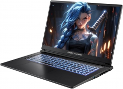 Ноутбук Dream Machines RG5050-17 17.3FHD IPS, Intel i7-13620H, 32GB, F2TB, NVD5050-8, DOS, черный RG5050-17UA28