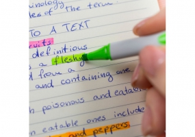 Набір текстових маркерів SCHNEIDER SHINE-UP, 4 кольори в картонній упаковці S112094