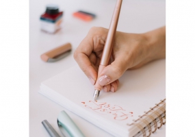 Набор подарочный: перочная ручка для каллиграфии SCHNEIDER CALLISSIMA 1,1 мм, 2 сменные пера, 6 патрон S143806