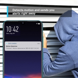 Камера видеонаблюдения TP-Link Tapo-C210