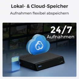 Камера видеонаблюдения Reolink E320 (E1) (E320)