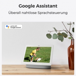 Камера видеонаблюдения Reolink E320 (E1) (E320)