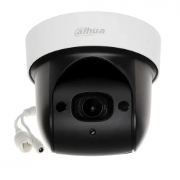 Камера видеонаблюдения Dahua DH-SD29204DB-GNY-W (2.8-12)