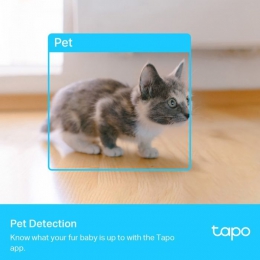 Камера видеонаблюдения TP-Link TAPO-C225