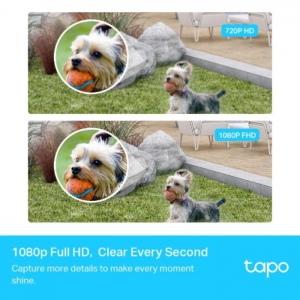 Камера відеоспостереження TP-Link TAPO-C400S2