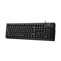 Клавіатура Genius KB-100 USB  Black 31300005410
