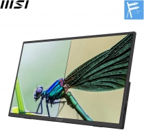 Монитор портативный MSI 15.6" PRO MP165-E6 HDMI, 2xUSB-C, MM, IPS, Case 9S6-3PE50M-001