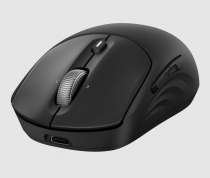 Миша HP 700 Rechargeable, WL/BT, чорний AZ7B0AA