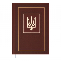 Щоденник недатований NATION, A5, коричневий Buromax BM.2006-25