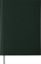 Ежедневник недатированный STRONG, A5, 288 стр. зеленый Buromax BM.2022-04