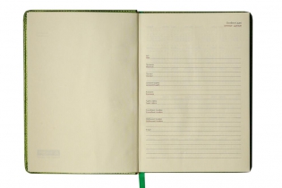 Ежедневник недатированный METALLIC, A5, 288 стр. салатовый Buromax BM.2033-15