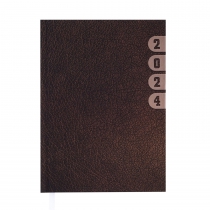 Дневник датированный 2024 INDEX, A5, коричневый Buromax BM.2103-25