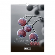 Календар настінний 2026 р., А3, 1 пружина, Emphasis on color Buromax BM.210602