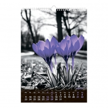 Календар настінний 2026 р., А3, 1 пружина, Emphasis on color Buromax BM.210602