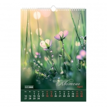 Календар настінний 2026 р., А3, 1 пружина, Wild flowers Buromax BM.210605