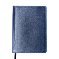 Ежедневник датированный 2019 METALLIC, А5, 336 стр., синий Buromax